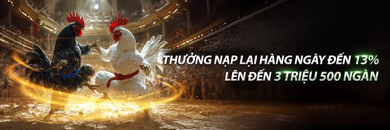 Đá gà trực tiếp mig8 win với các trận đấu kịch tính